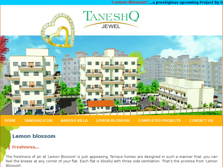 www.taneshqdeveloper.com