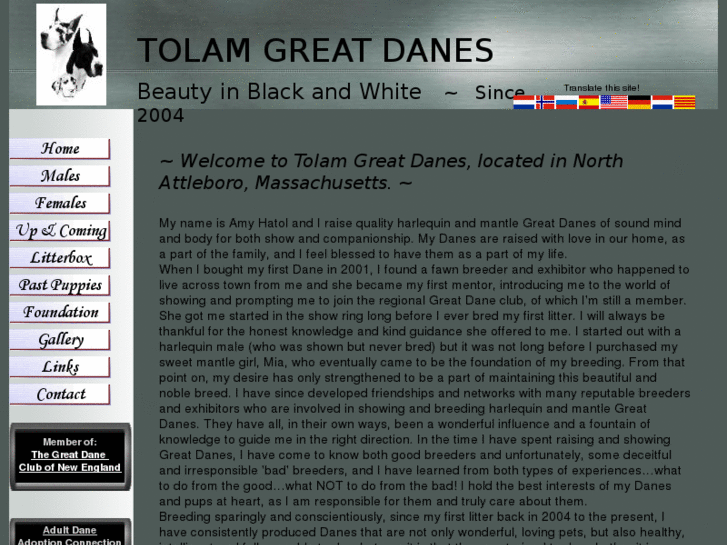 www.tolamdanes.com