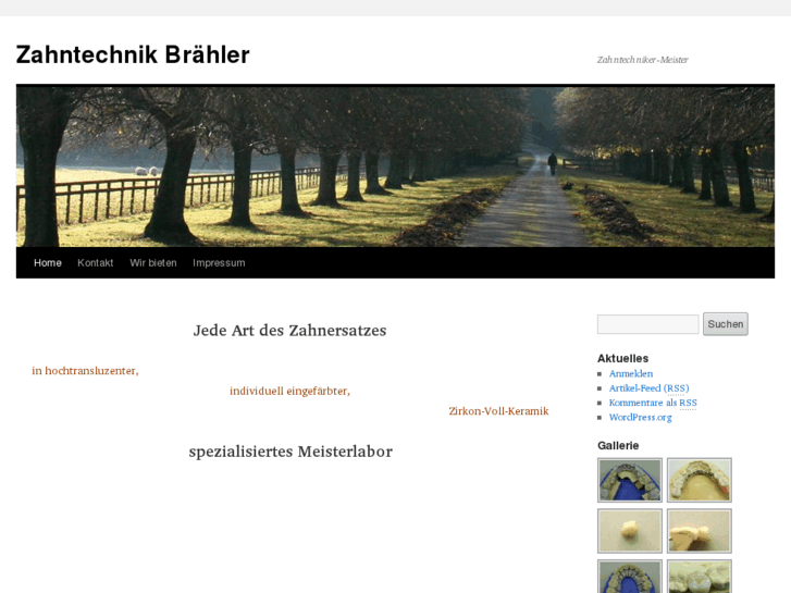 www.ztm-braehler.com