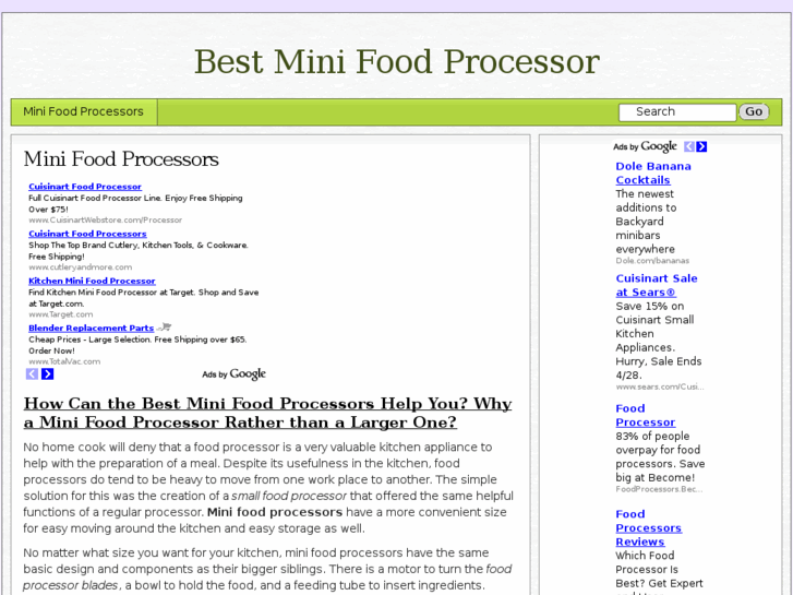 www.bestminifoodprocessor.com