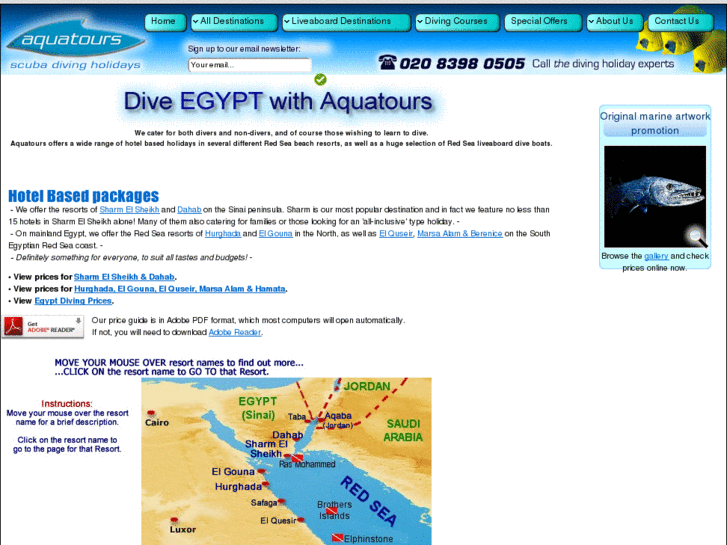 www.diveegypt.com