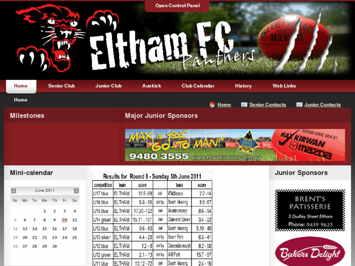 www.elthamjfc.com