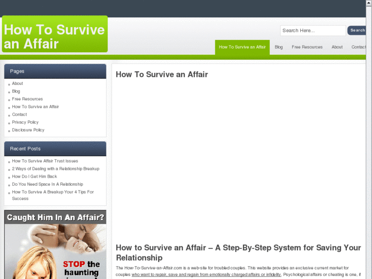 www.how-to-survive-an-affair.com