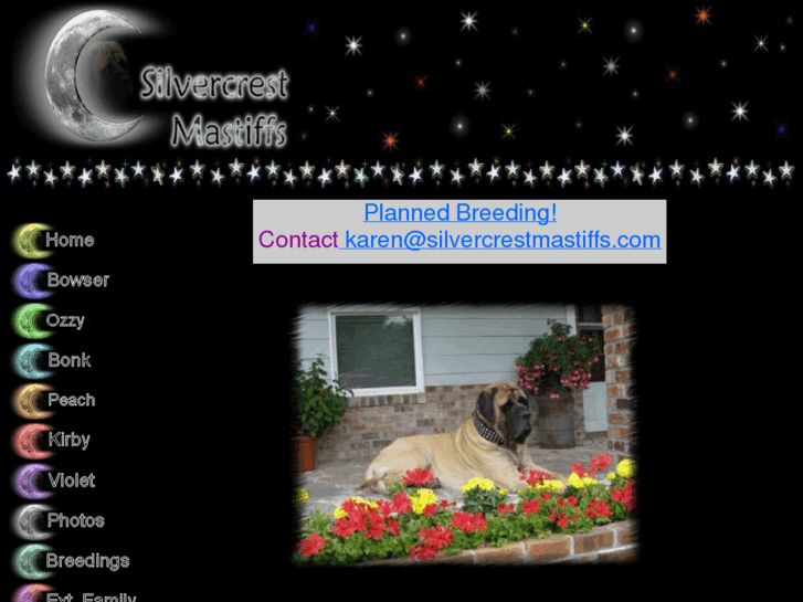 www.silvercrestmastiffs.com