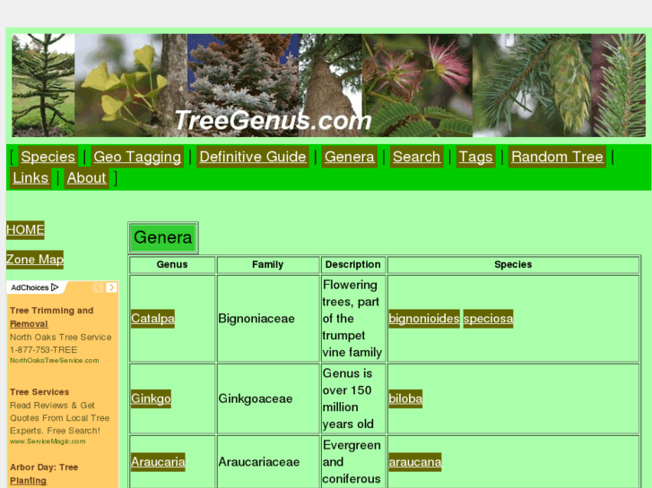 www.treegenus.com