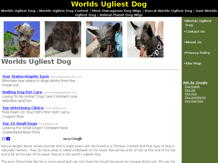 www.worldsugliestdog.net