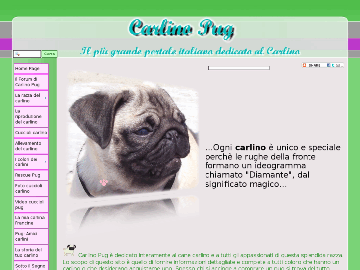 www.carlinopug.com