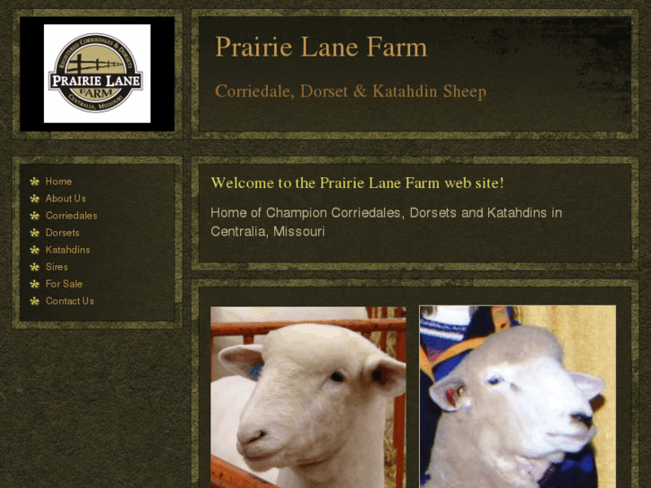 www.prairielanefarm.net