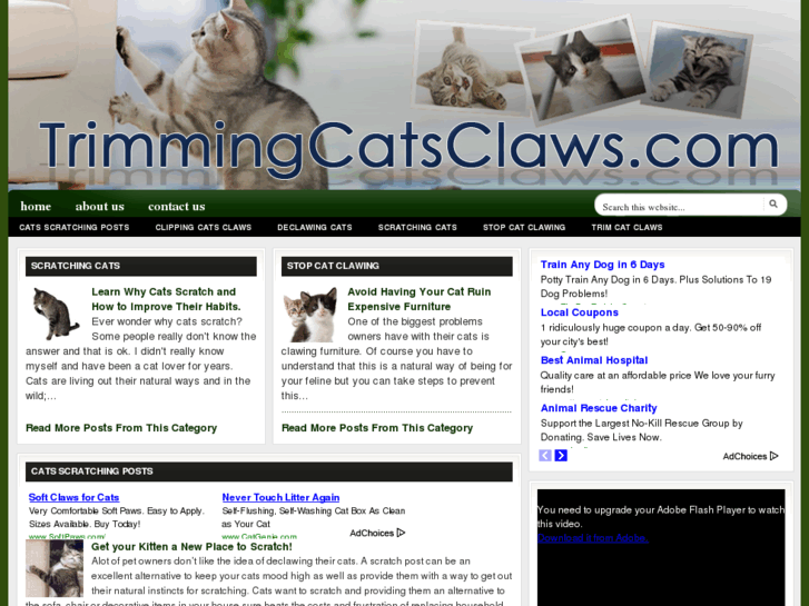 www.trimmingcatsclaws.com