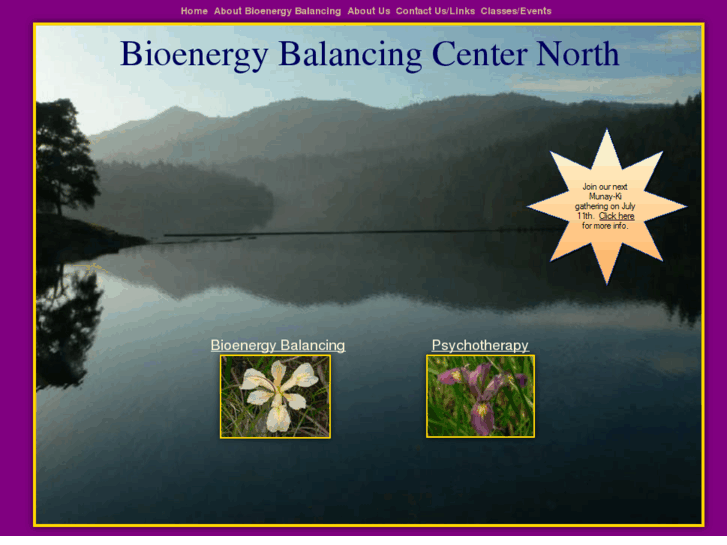 www.bioenergy-balancing.com