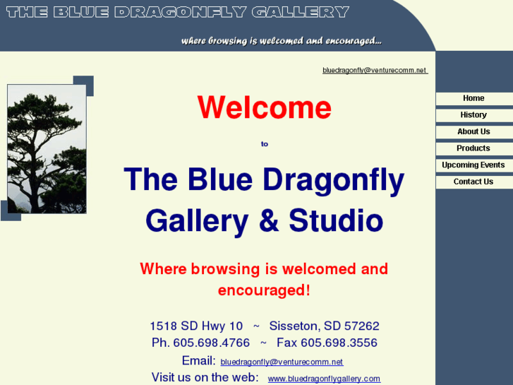 www.bluedragonflygallery.com