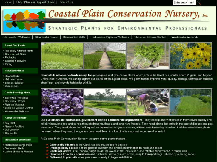 www.coastalplainnursery.com