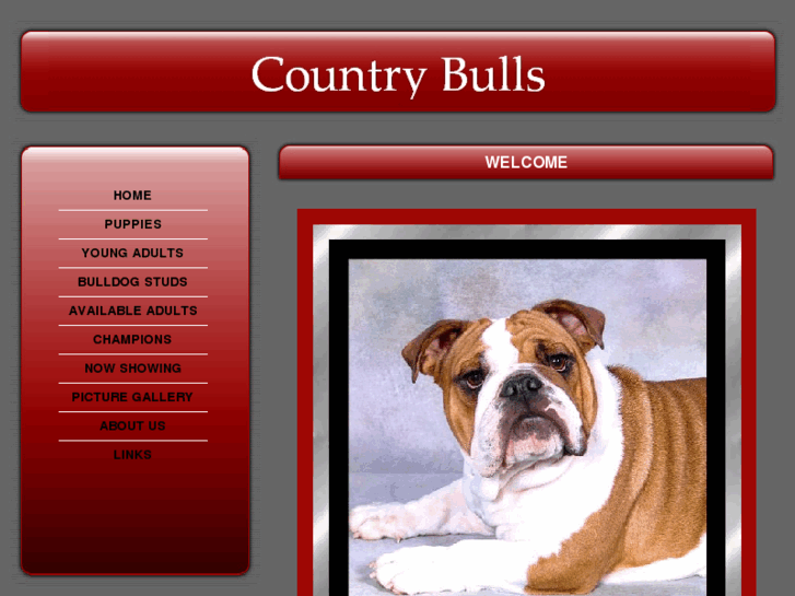 www.countrybulls.com