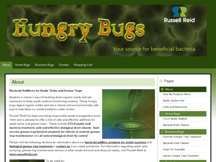 www.hungrybugs.com