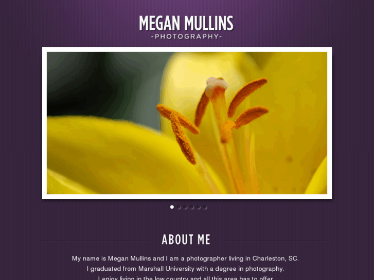 www.megan-mullins.com