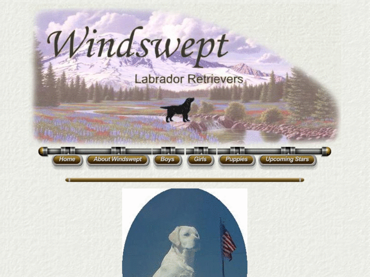 www.windsweptlabs.com