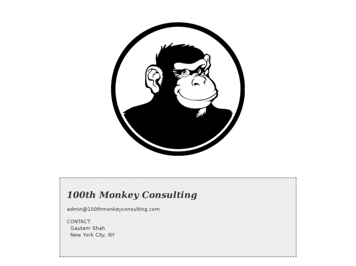 www.100thmonkeyconsulting.com