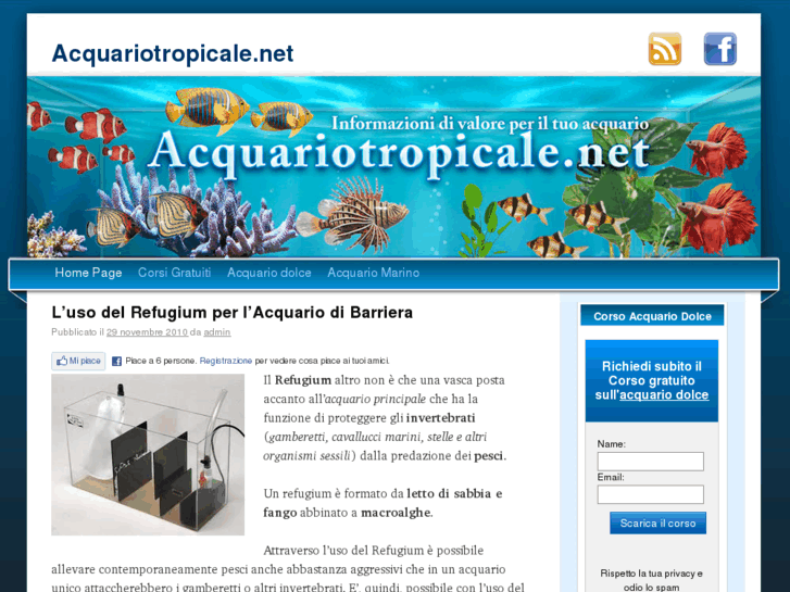 www.acquariotropicale.net