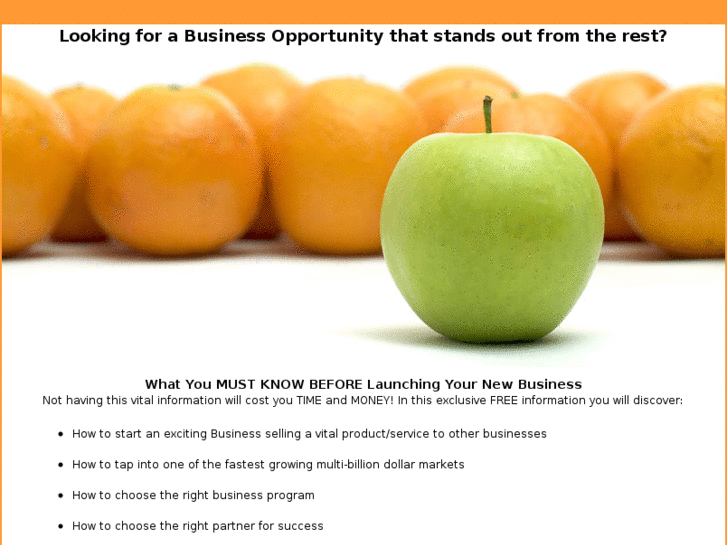 www.business-opportunity-solutions.com