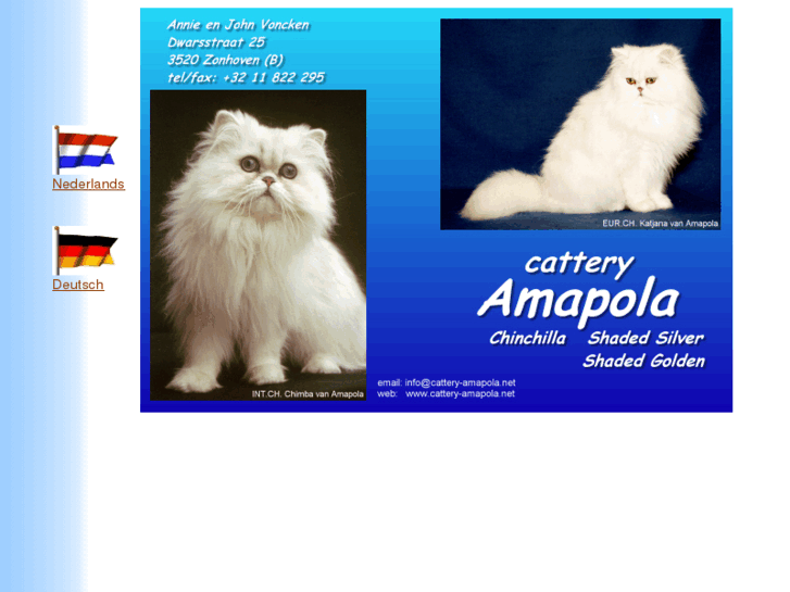 www.cattery-amapola.net