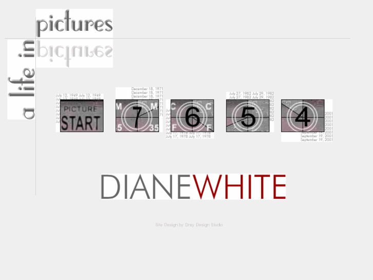 www.diane-white.com