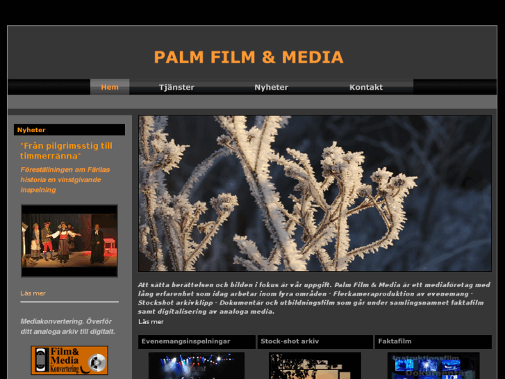 www.palmfilm.se