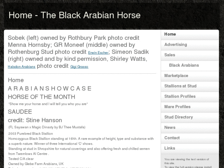 www.theblackarabianhorse.org