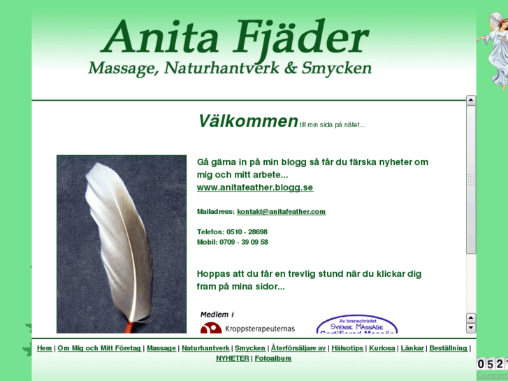 www.anitafeather.com