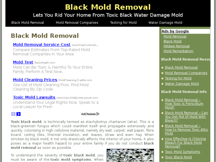 www.black-mold-removal.org