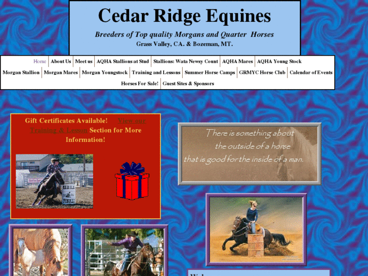 www.cedarridgeequines.com