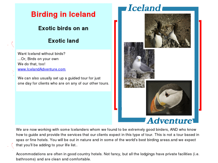 www.icelandbirdingadventure.com