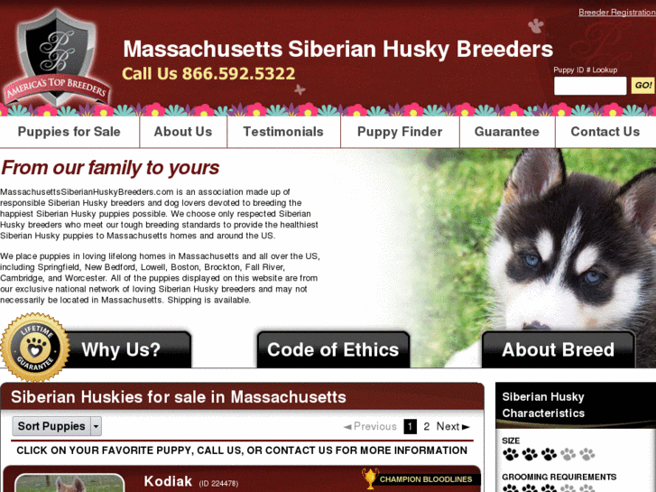 www.massachusettssiberianhuskybreeders.com