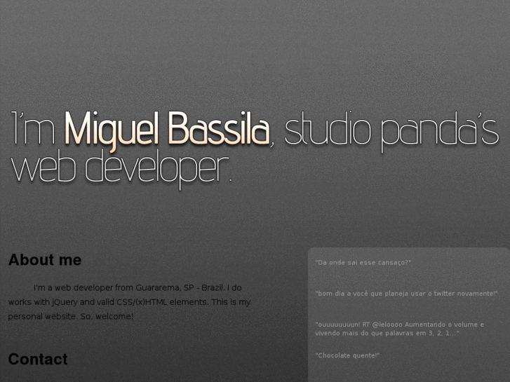 www.miguelbassila.com