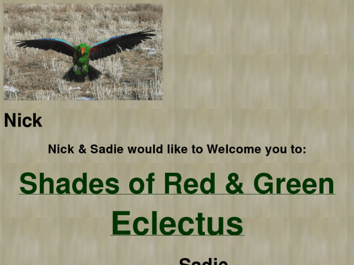 www.shadeseclectus.com