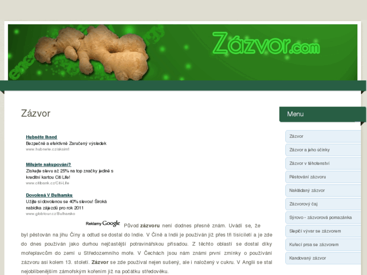 www.zazvor.com