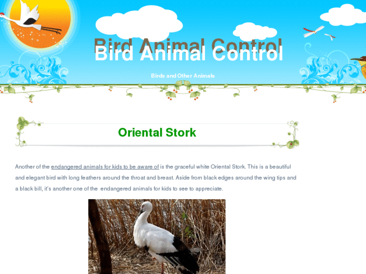 www.bird-animal-control.com