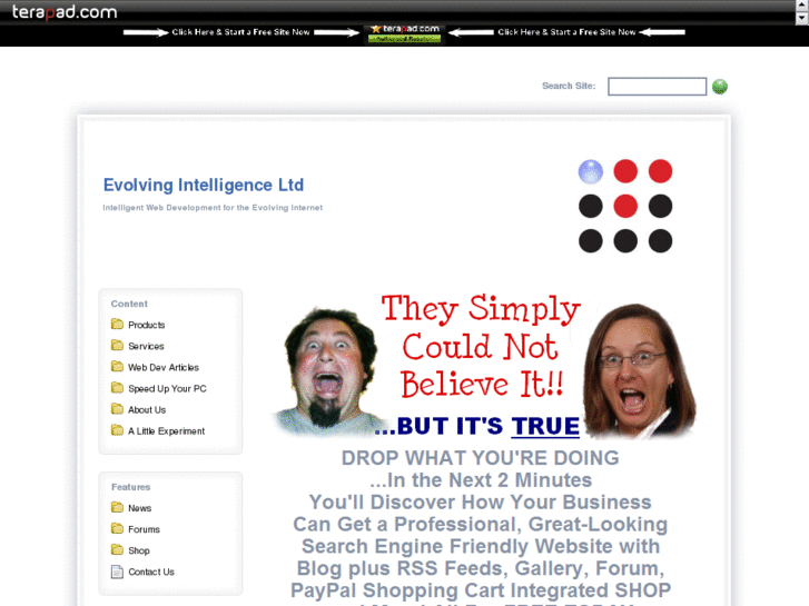 www.evolving-intelligence.com