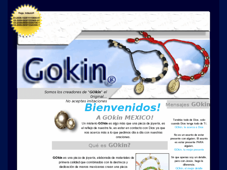 www.gokinmexico.com