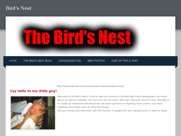 www.inthebirdnest.com