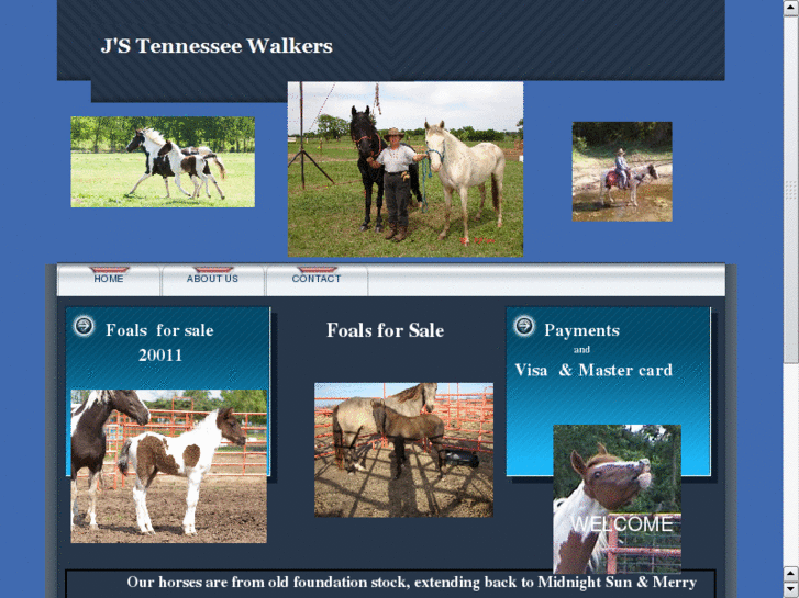 www.jswalkers.com