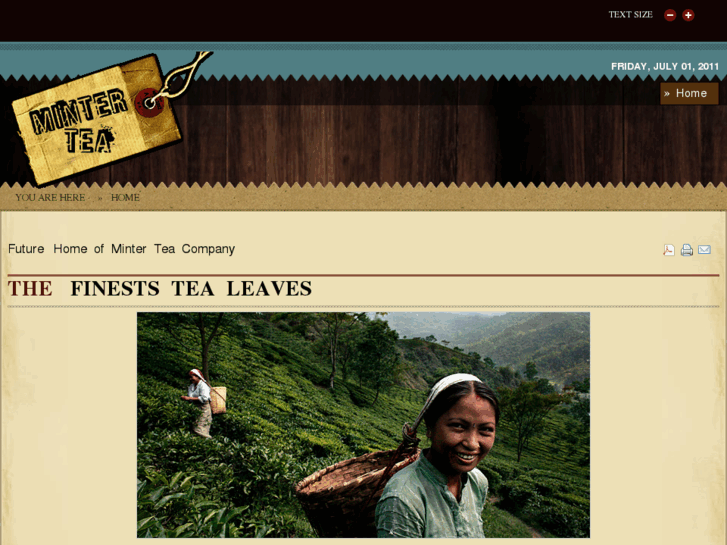 www.mintertea.com