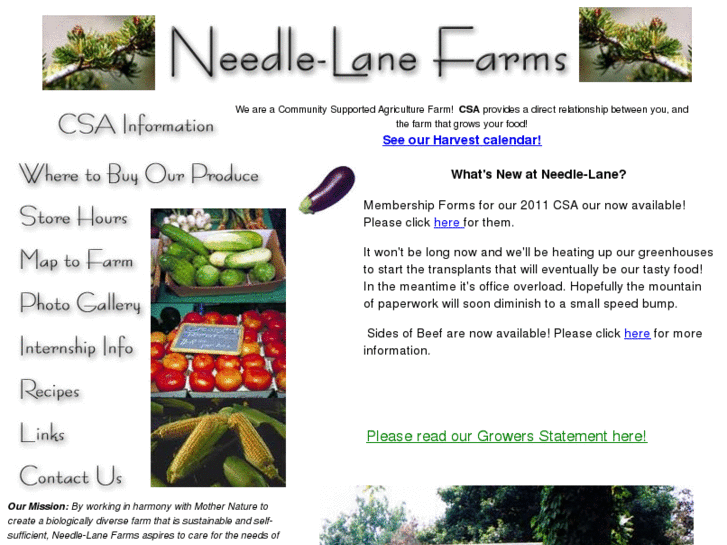 www.needlelanefarms.com