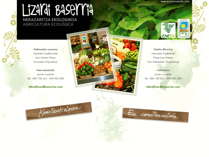 www.lizardibaserria.com