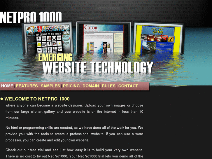 www.netpro1000.com