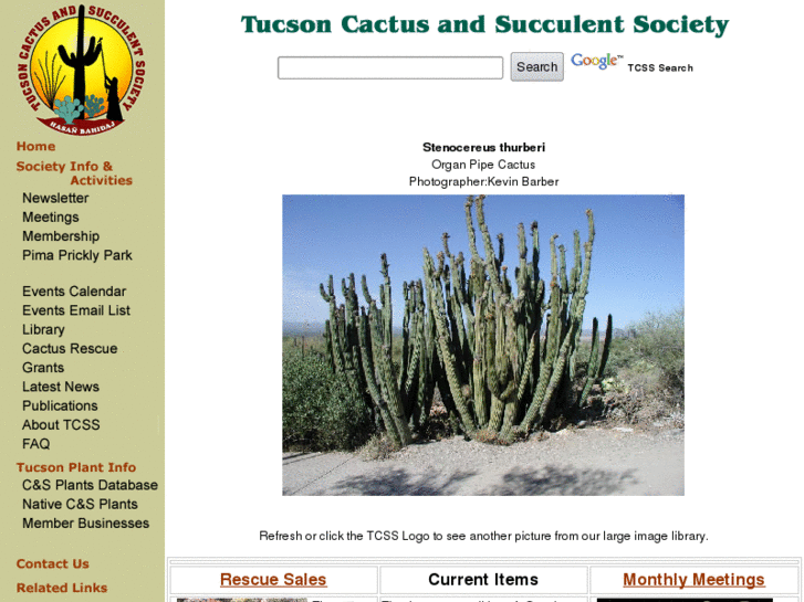 www.tucsoncactus.org