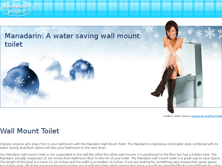 www.wallmounttoilet.net