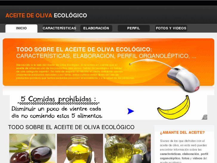 www.aceitedeolivaecologico.net