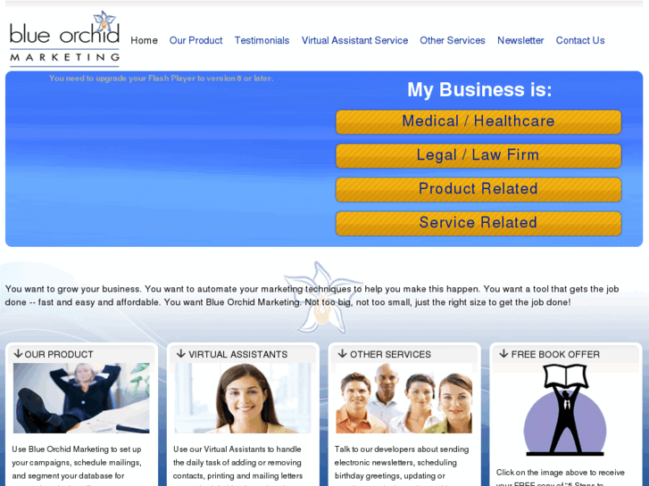 www.blueorchidmarketing.com