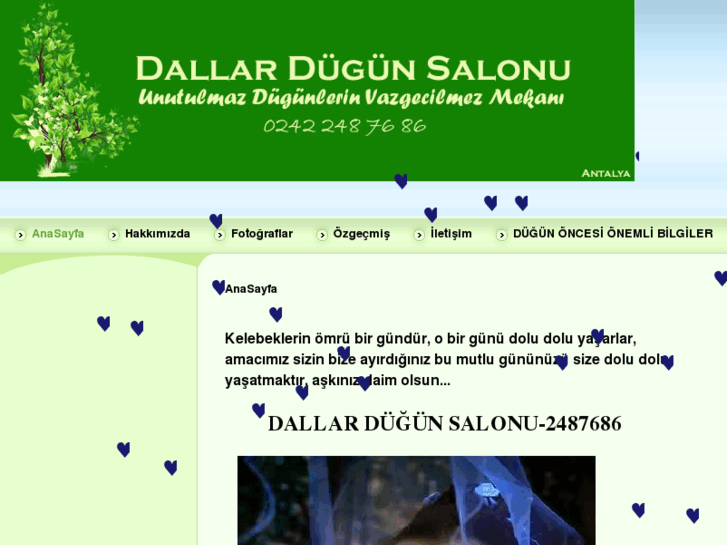 www.dallardugunsalonu.com