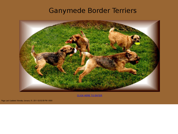 www.ganymedeborderterriers.com